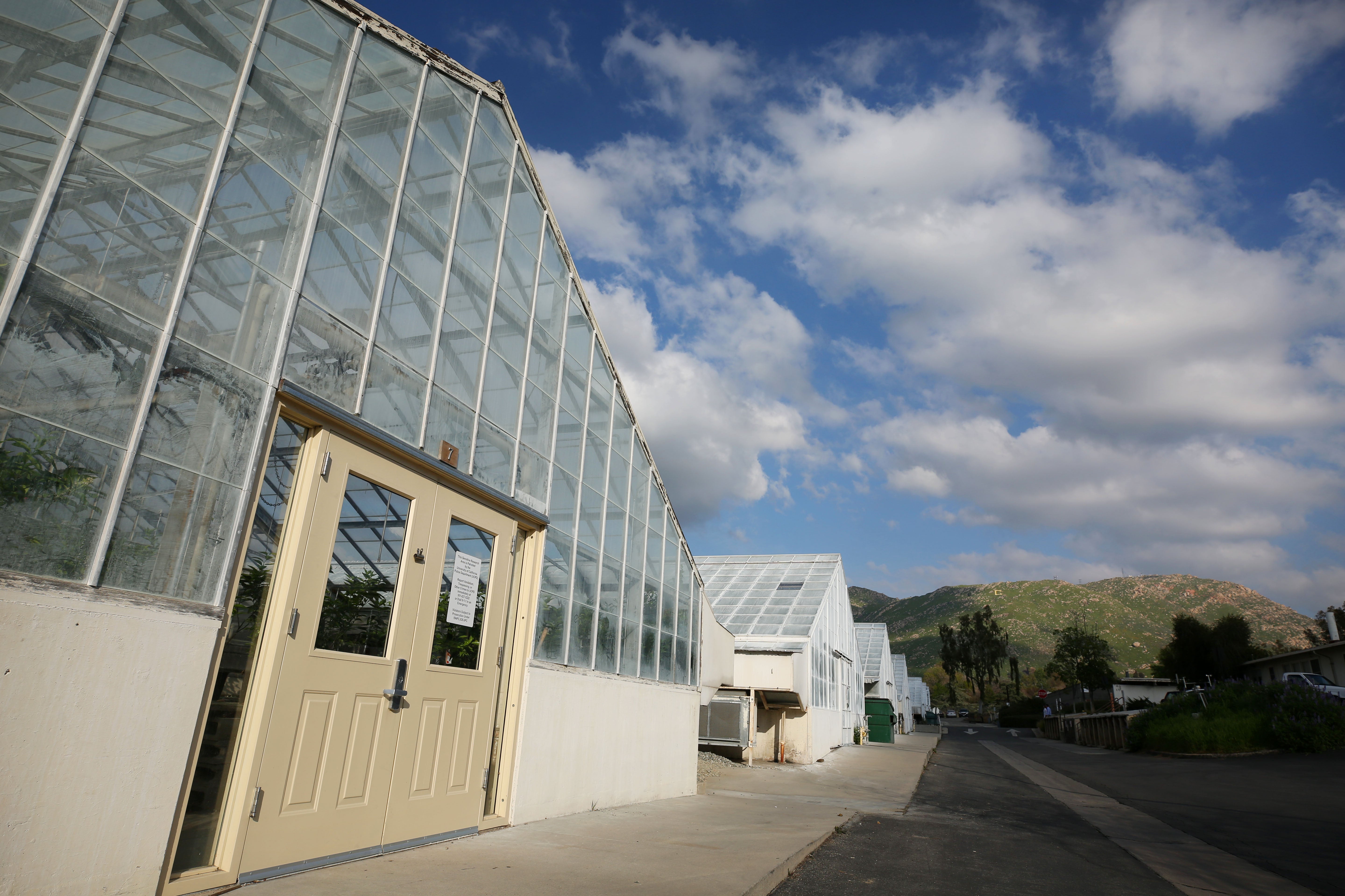 exterior view of greenhouses (c) UCR / Stan Lim
