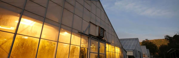 Greenhouse With Light
