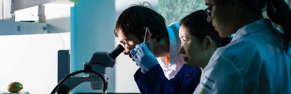 iStock- Students in Lab