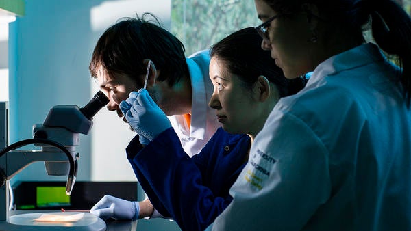 MCSB Sachiko Yamanaka lab (c) UCR