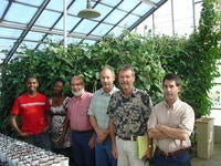 UCR Cowpea researchers