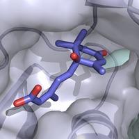 Abscisic Acid inside it's receptor