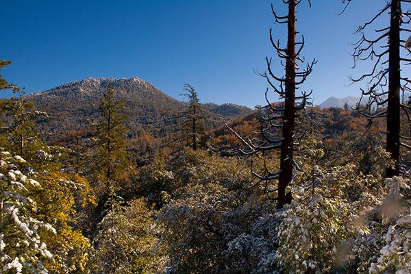 mountain reserve (c) Lobsang Wangdu