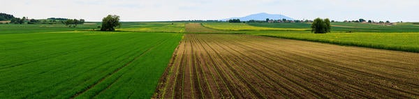 field and foothill (c) Lukasz Szmigiel unsplash