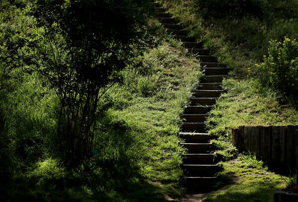 botanic gardens stairway (c) UCR