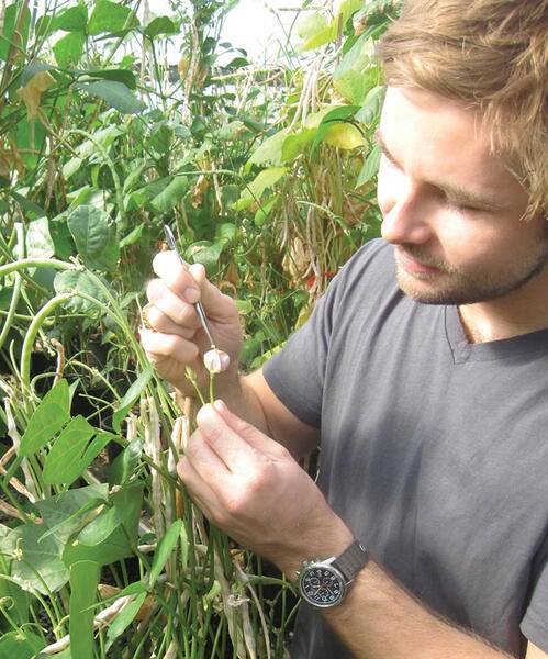 student inspecting a plant in the greenhouse (c) UCR / CNAS