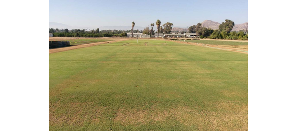 turf grass field (c) UCR / CNAS