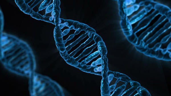 genome dna (c) iStock