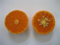 comparing oranges