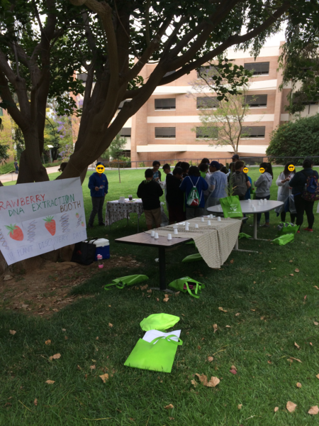 Two tables set under a tree with multiple 5th graders standing around. Against the tree is a banner that reads "Strawberry DNA Extraction Booth. Student faces are covered with smiley faces