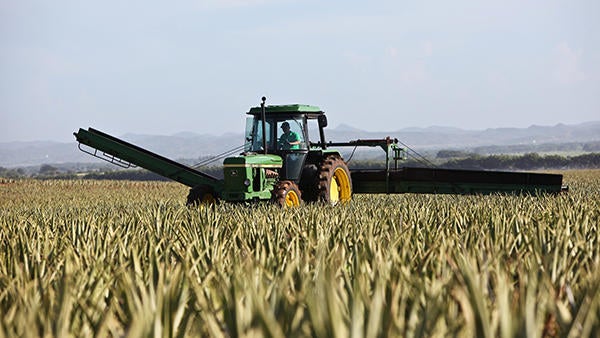 tractor in field (c) Dietmar Reischle unsplash