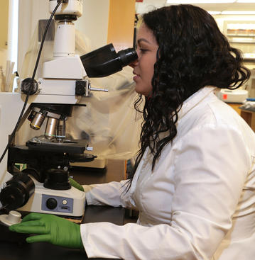 nematology student looking through microscope (c) UCR / CNAS