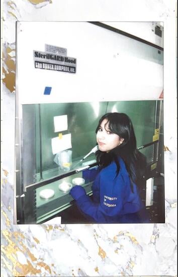 Person sitting in front of a fume hood in a blue lab coat holding a pipette