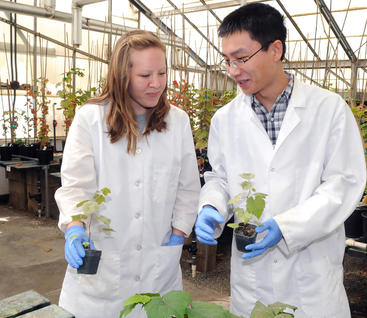 students holding plant specimens in greenhouse (c) UCR / CNAS
