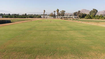Turf grass field (c) UCR